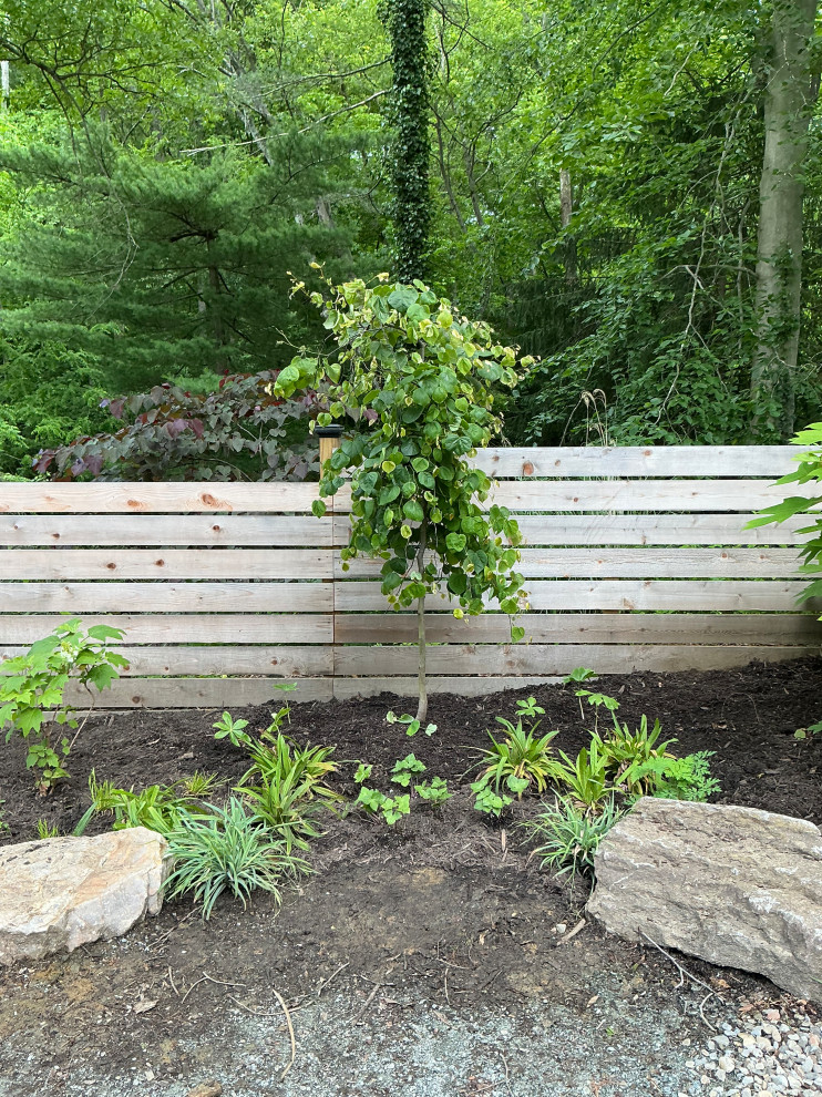 Conservation and rain gardens landscape