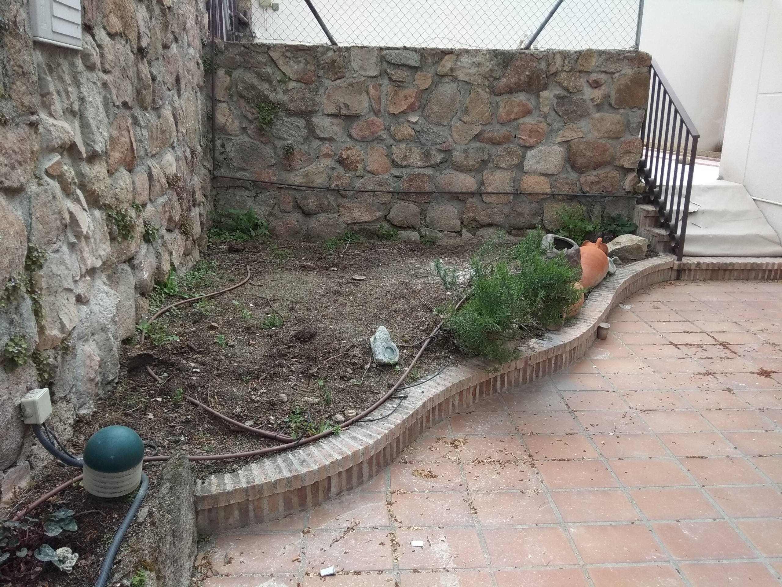 Dando color a viejos jardines