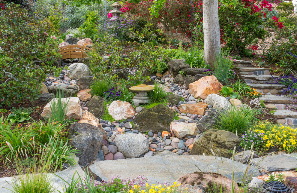 This is an example of a traditional drought-tolerant landscaping in San Diego.