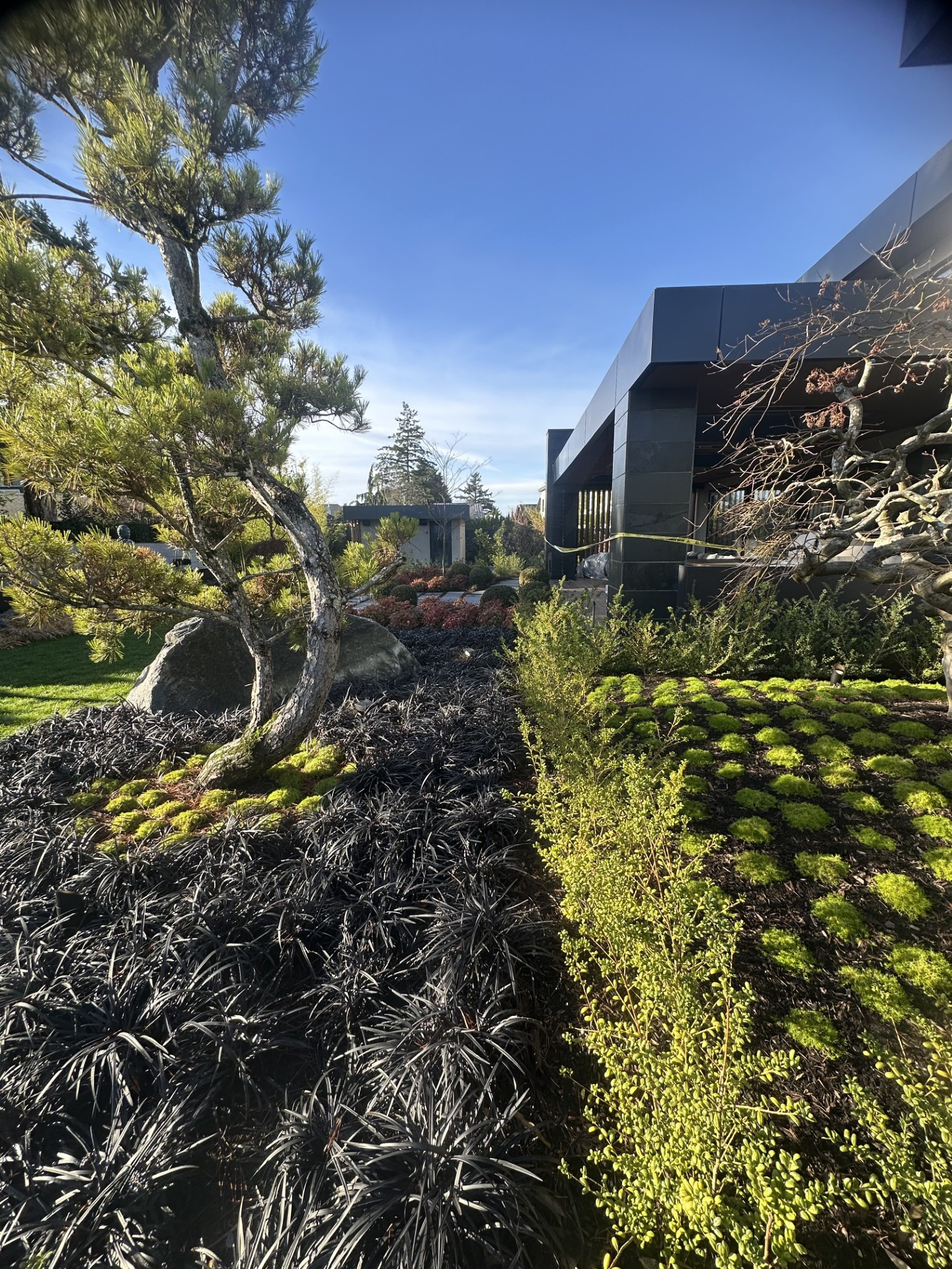 Projects In Construction