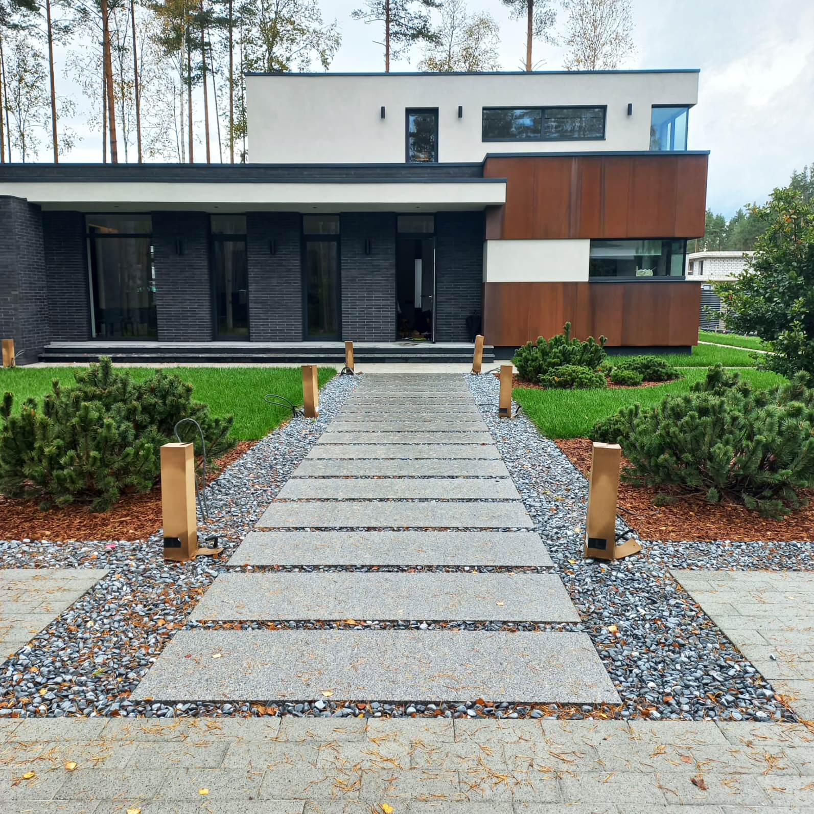 Текущий проект: Репино-Парк