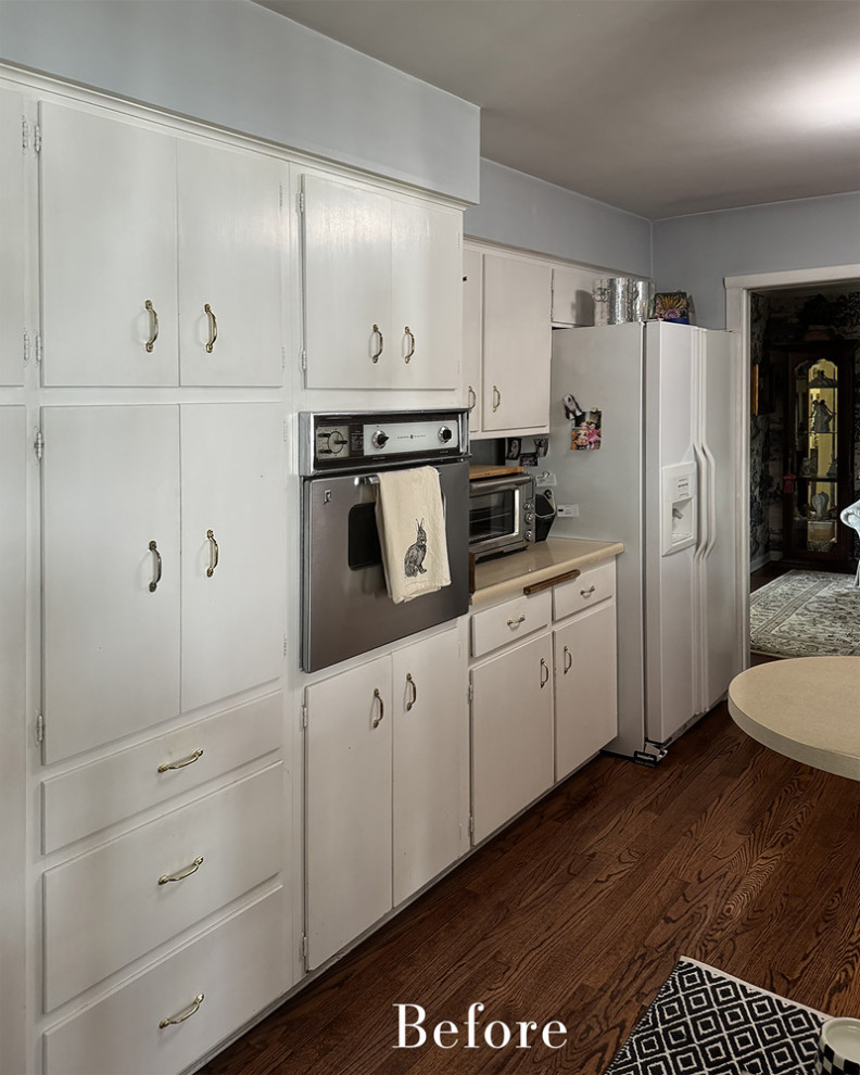 Inspiration for a transitional home design remodel in Chicago