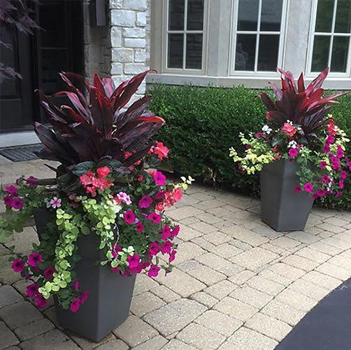 Summer Pots with burgundy, rose, lime green By Peter Atkins and Associates