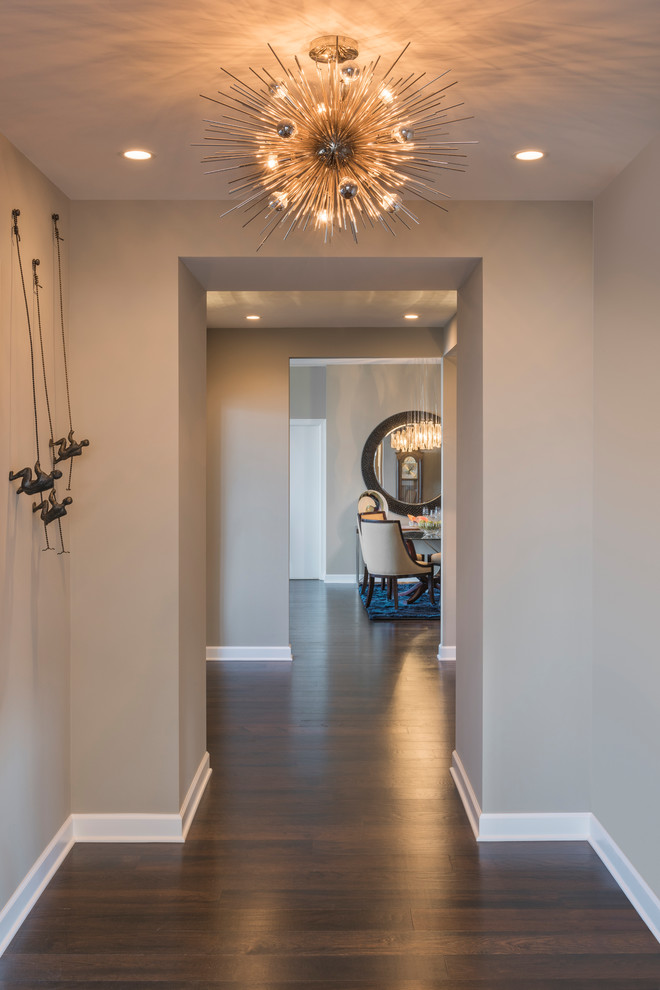 This is an example of a contemporary hallway in Chicago.