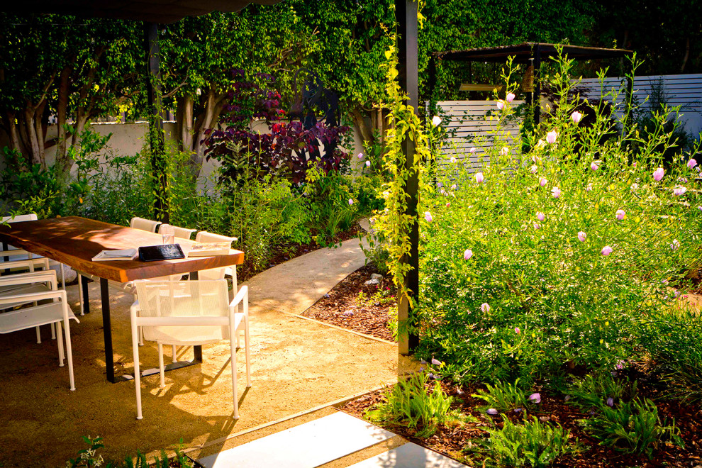 На фото: засухоустойчивый сад среднего размера на заднем дворе в современном стиле с покрытием из гранитной крошки с