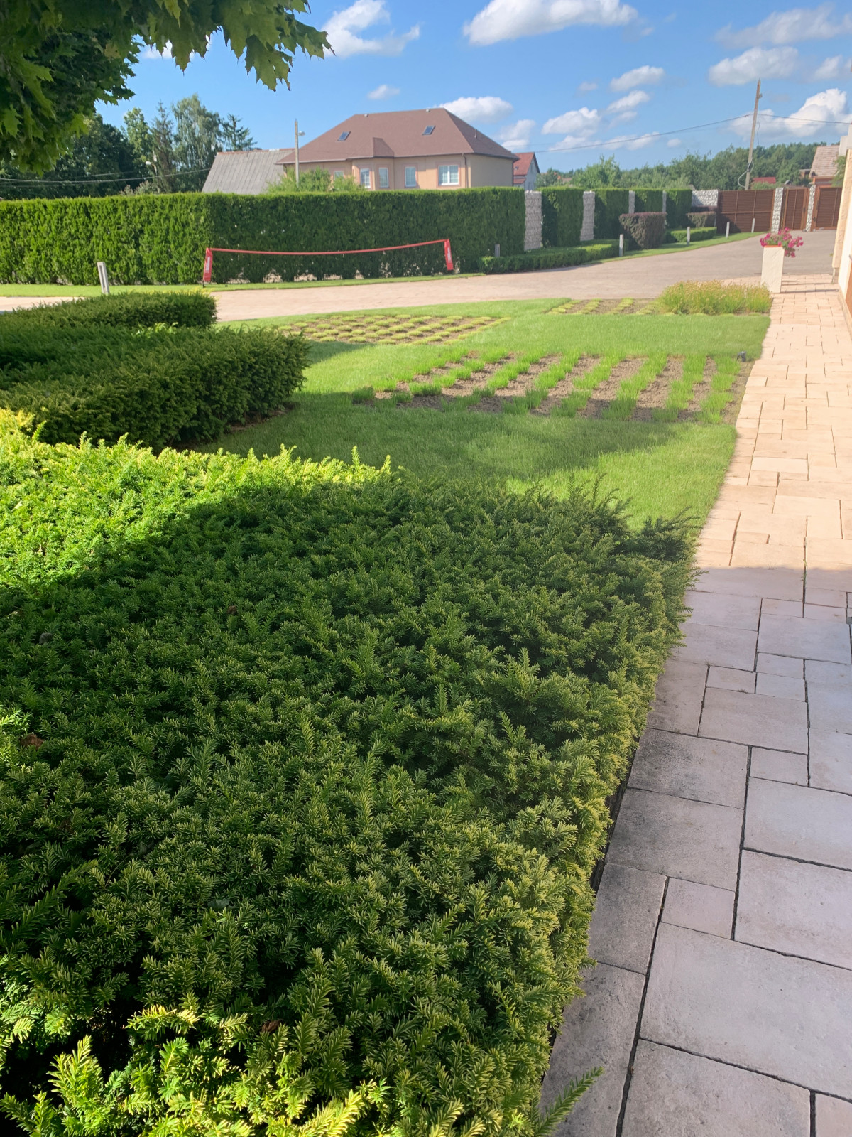 Семейный сад