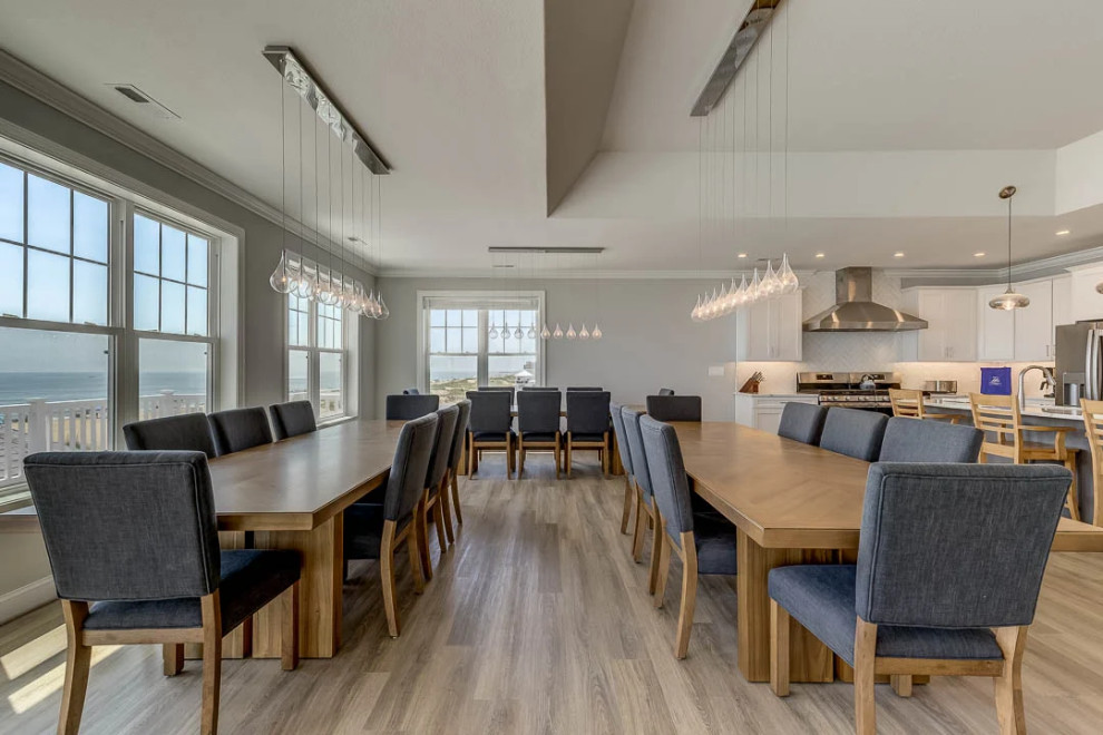 Dolphin Watch (2023)