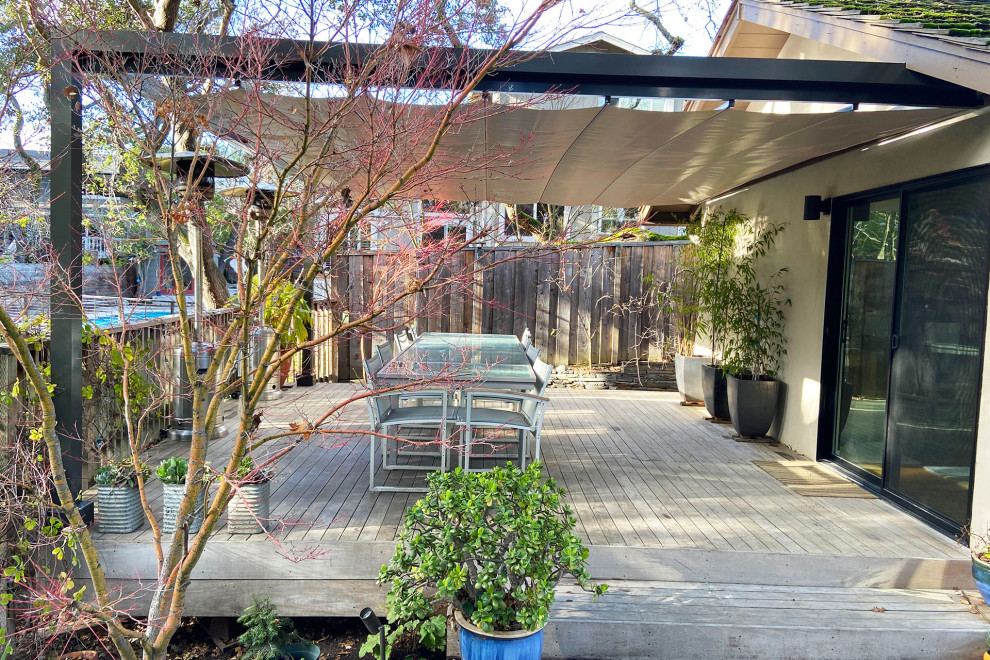 Inspiration för mellanstora moderna terrasser på baksidan av huset, med en pergola och räcke i trä