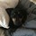 marykate_jamen
