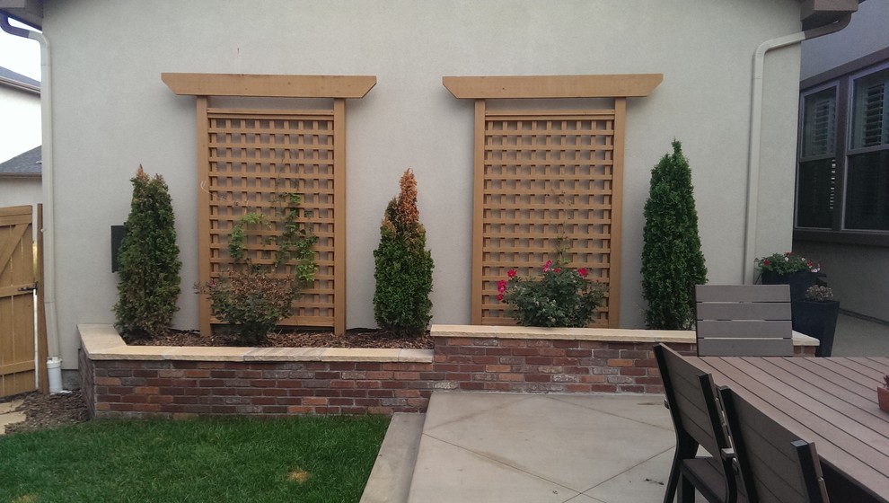 Traditional Back Yard Remodel