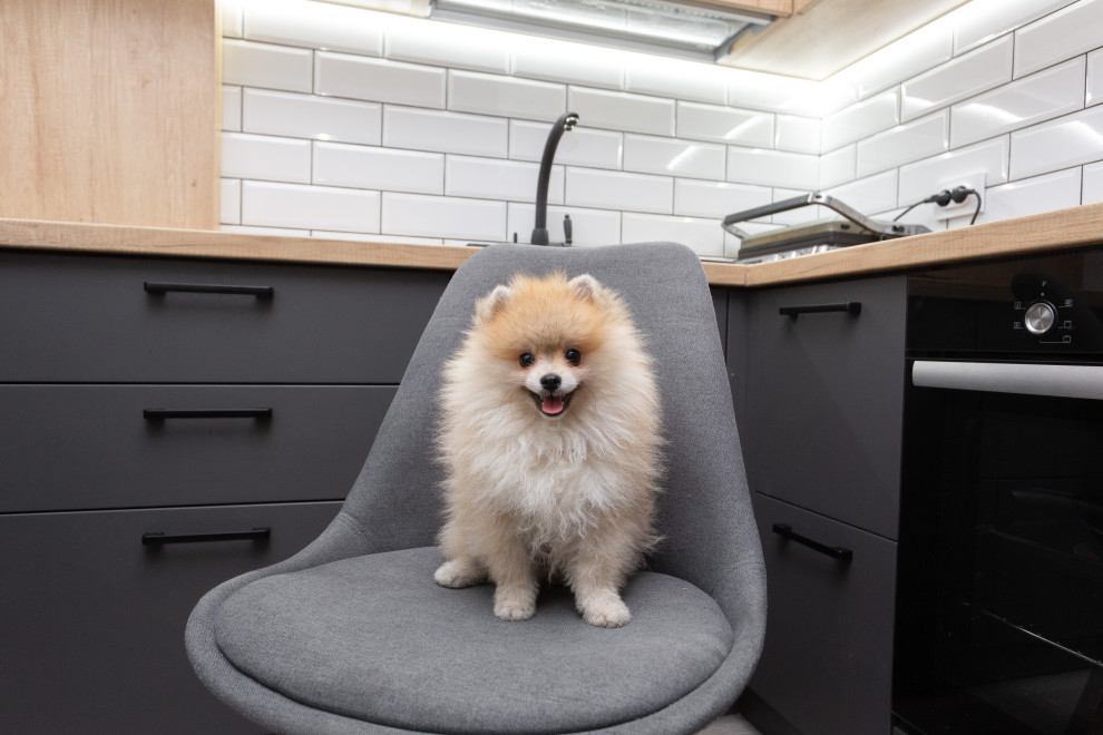 Кухня современная в двух цветах