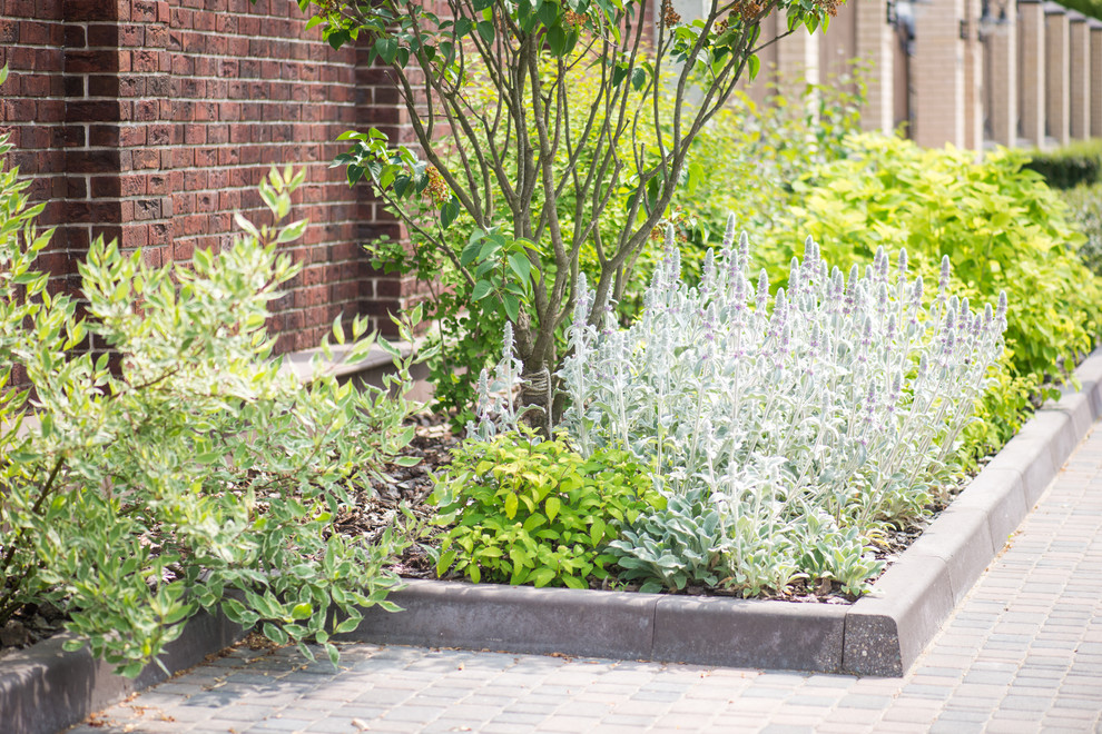 Сад "Витражи". Серебряная медаль конкурса "Ландшафтная осень-2016"