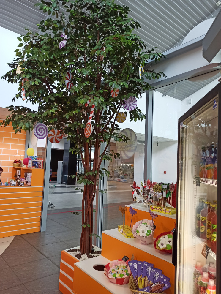 Крупномерные деревья для МармеладЛэнд