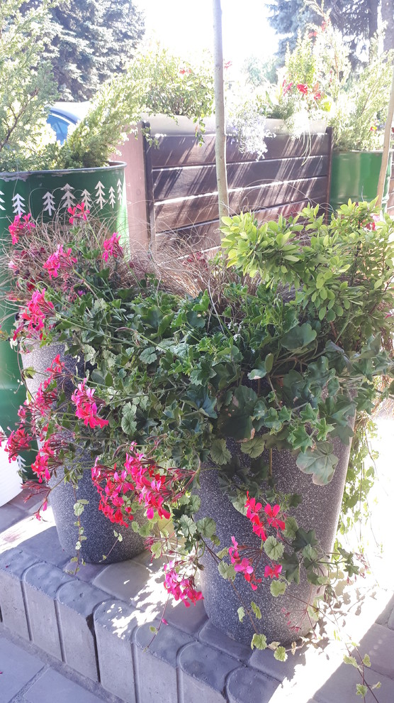 Контейнерное озеленение