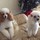 Last commented by yenika_zone10 Miami, Fl