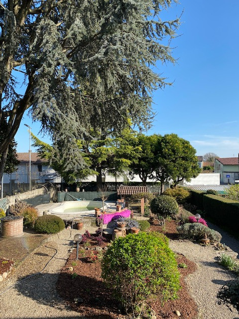 Un giardino roccioso