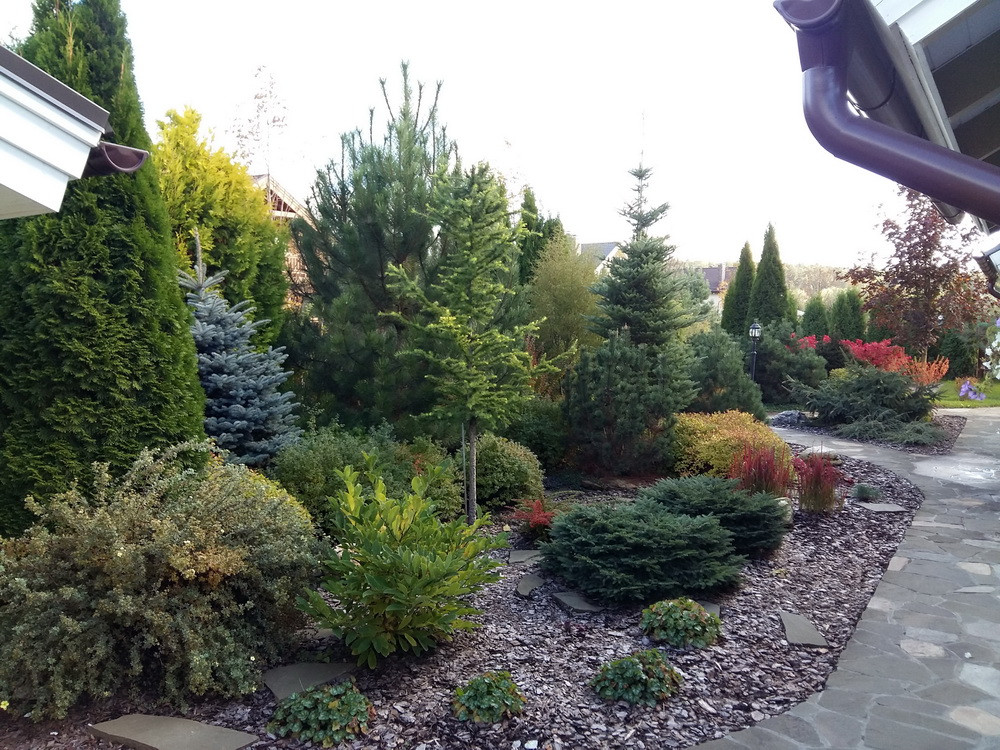 Витро Кантри