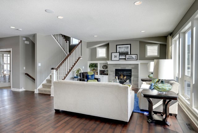 Aspen Plus traditional-games-room