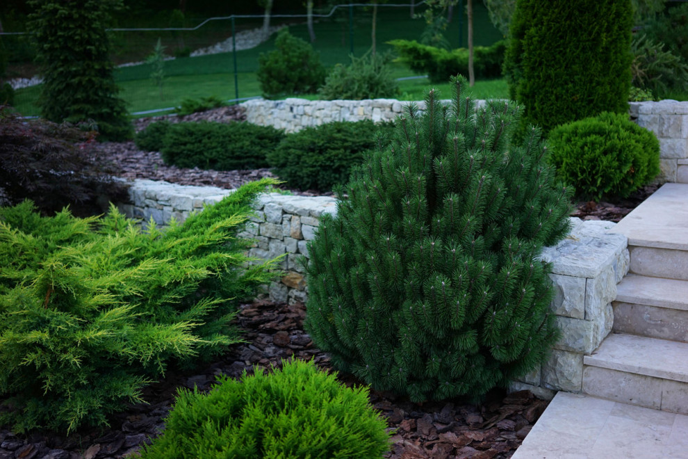 Лазурный Берег Сочи