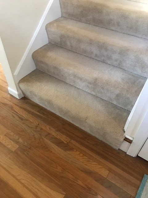 Choosing Hardwood Floor Colors