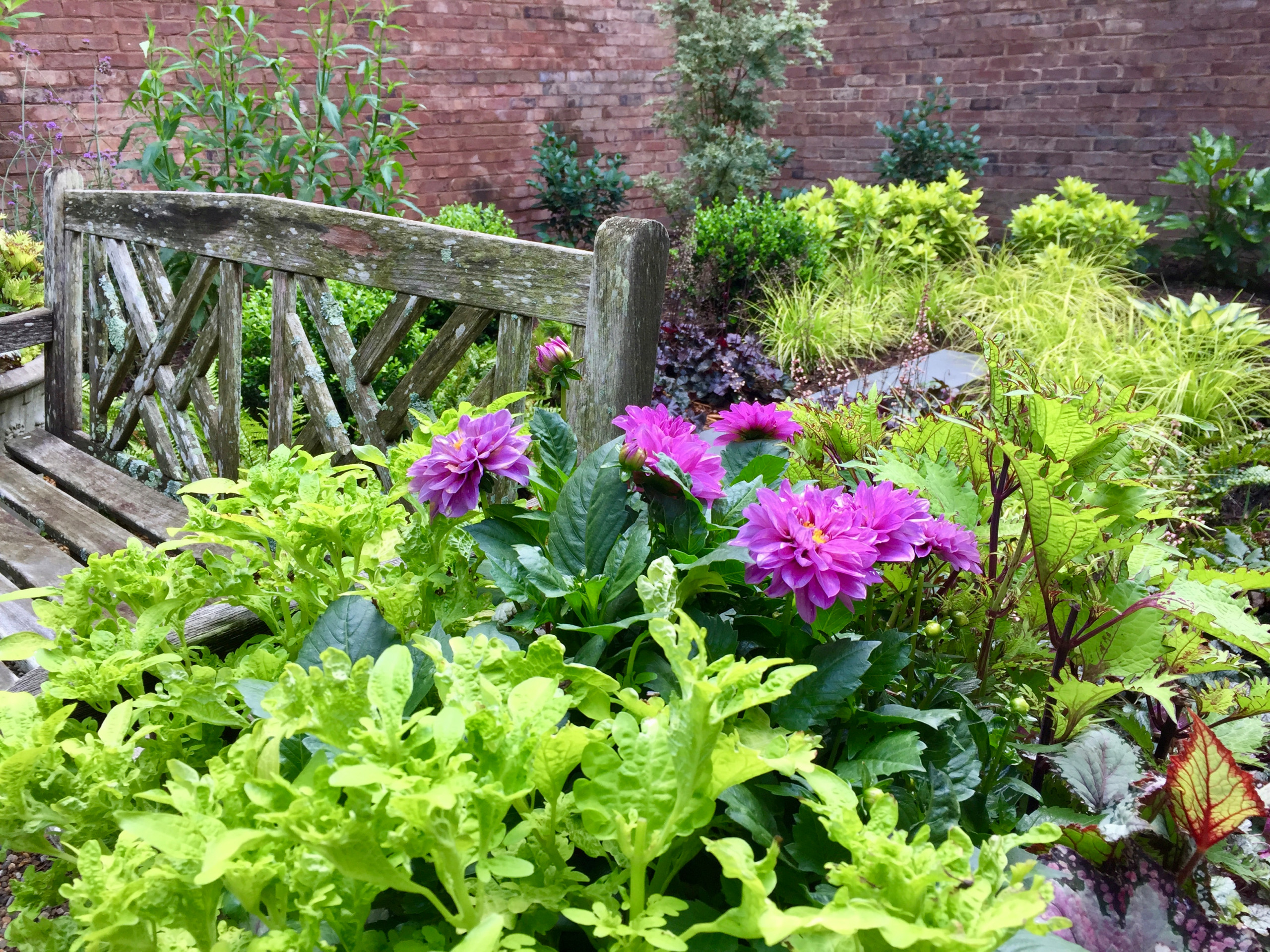 Transitional Courtyard Garden