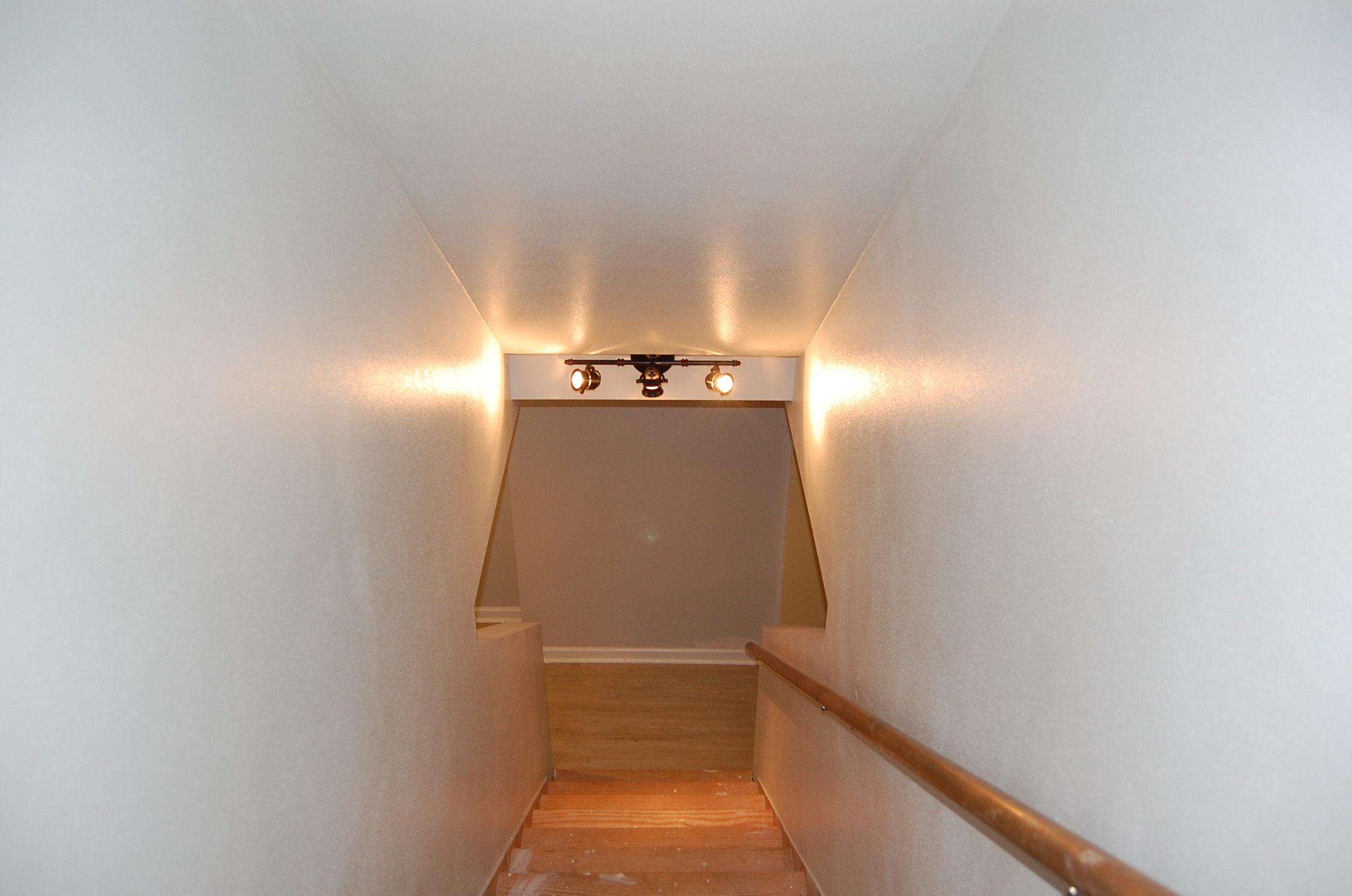 Basement office and work out area