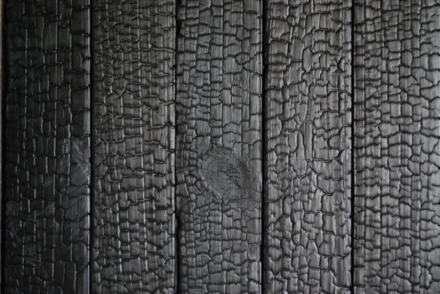 Shou-sugi-ban (burnt wood siding) asian