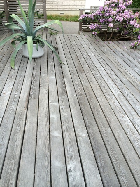 bilder transitional-terrace