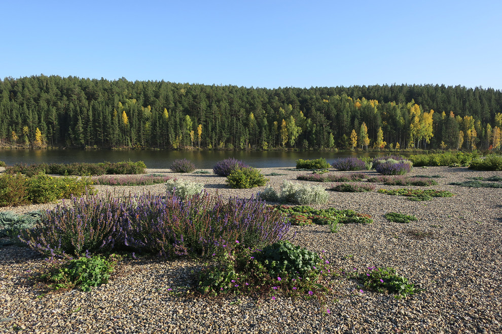 Полынный берег