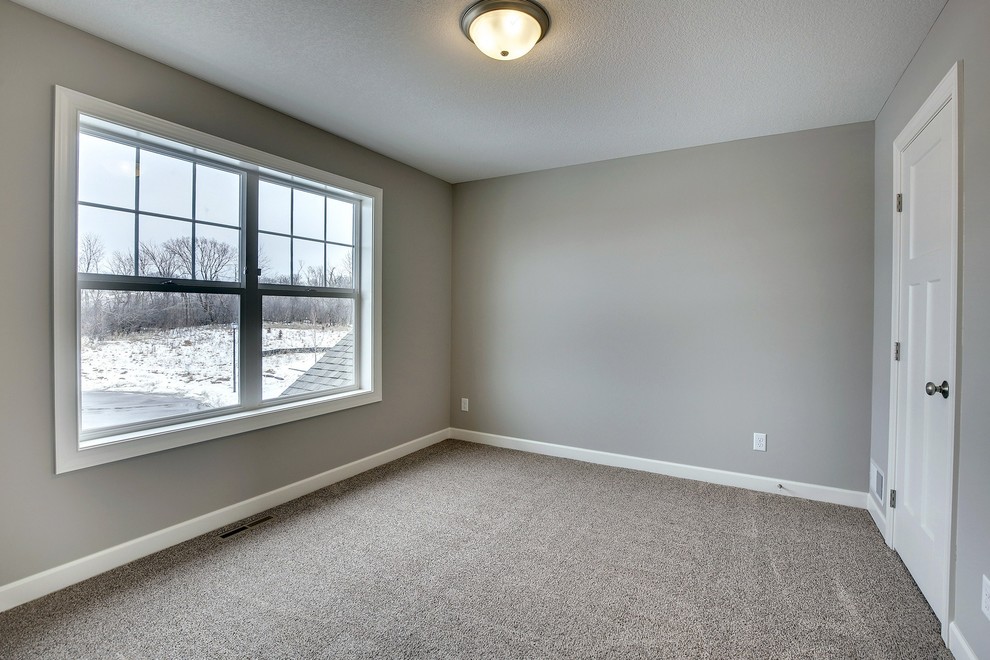 Mid-sized traditional guest bedroom in Minneapolis with grey walls, carpet and no fireplace.