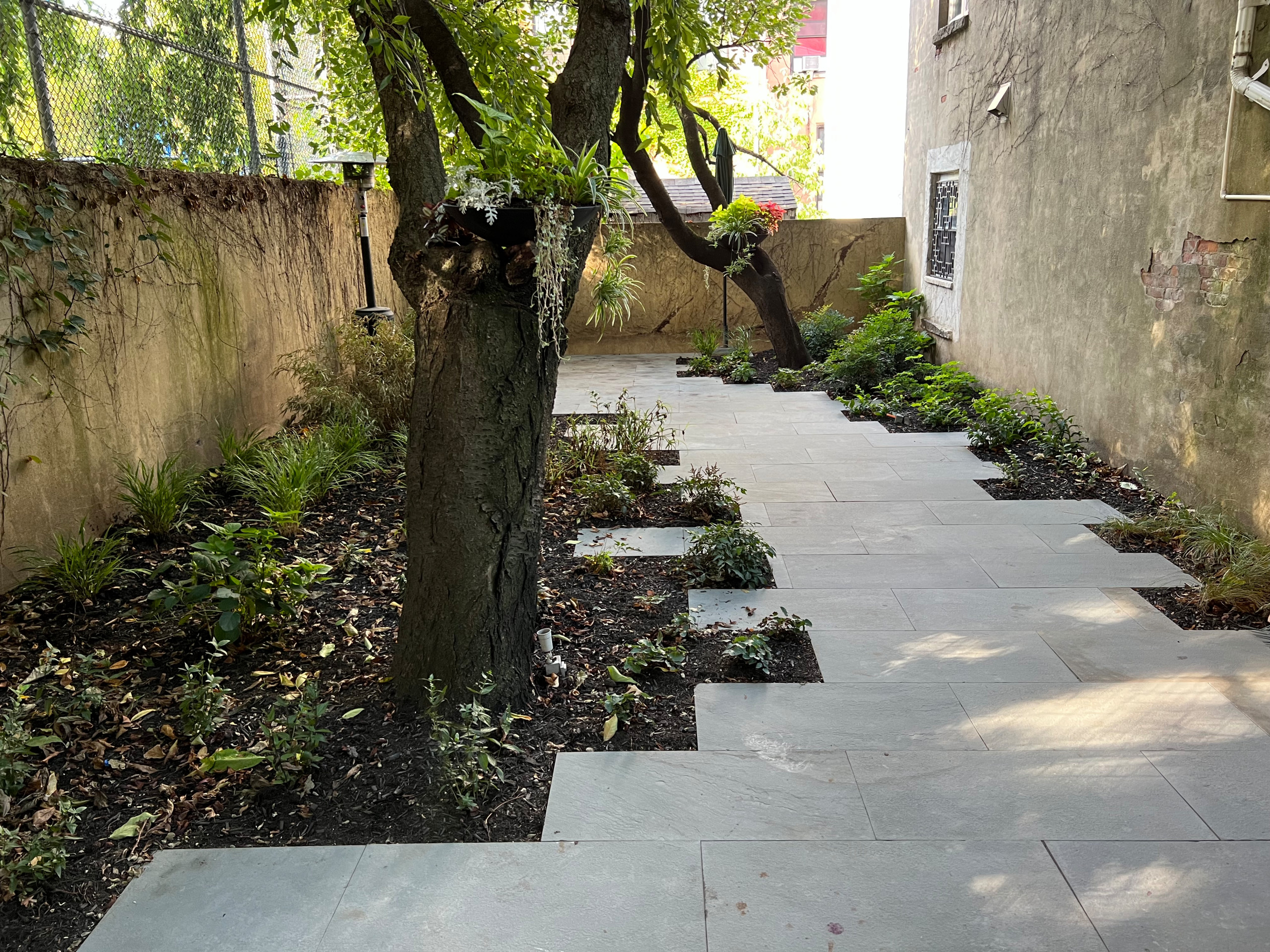 Modern Urban Shade Garden