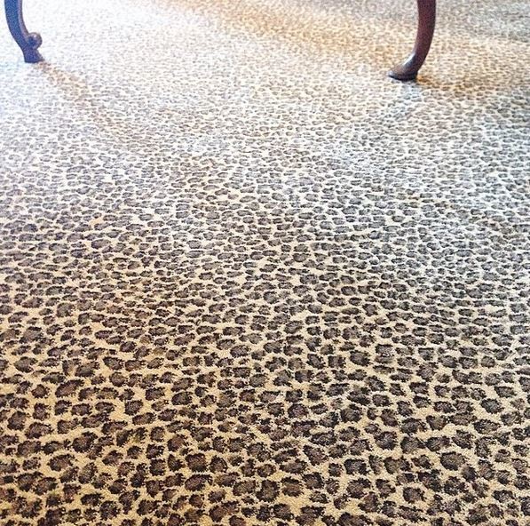 Leopard Carpet Carpet Vidalondon