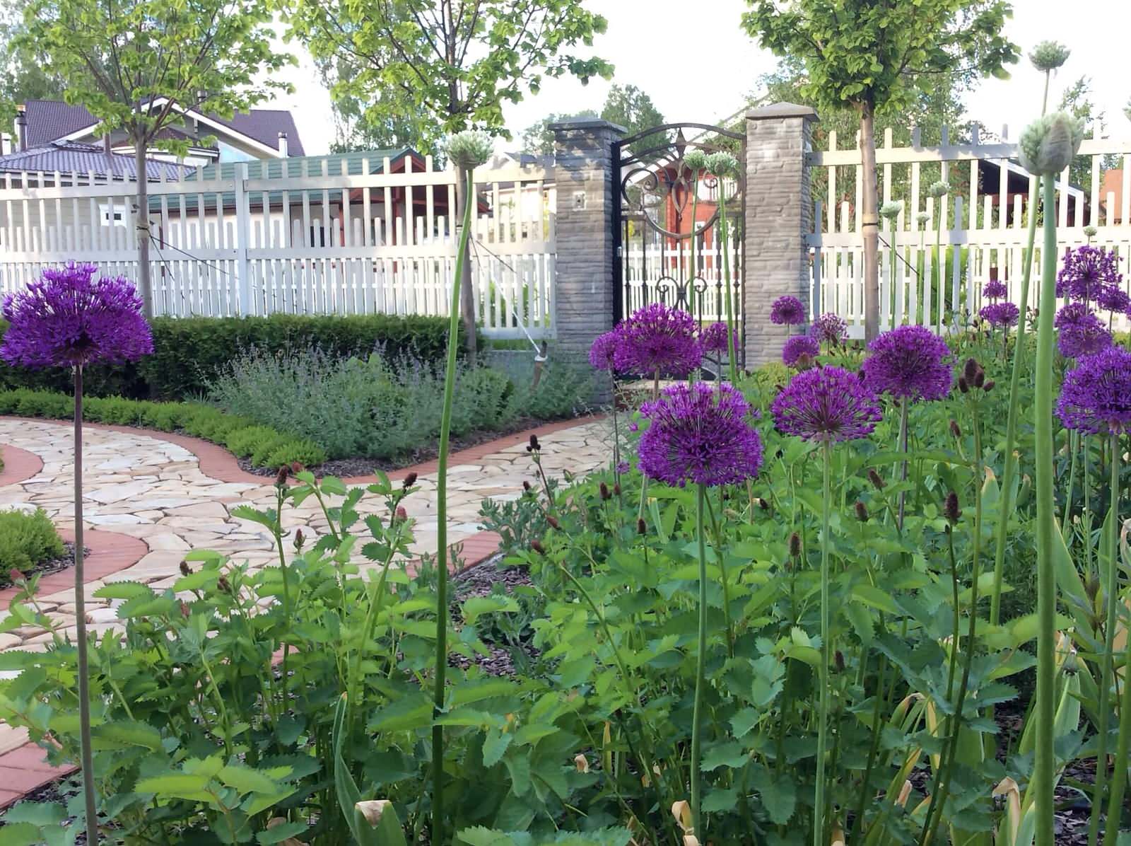 ПОЛЕТ ШМЕЛЯ