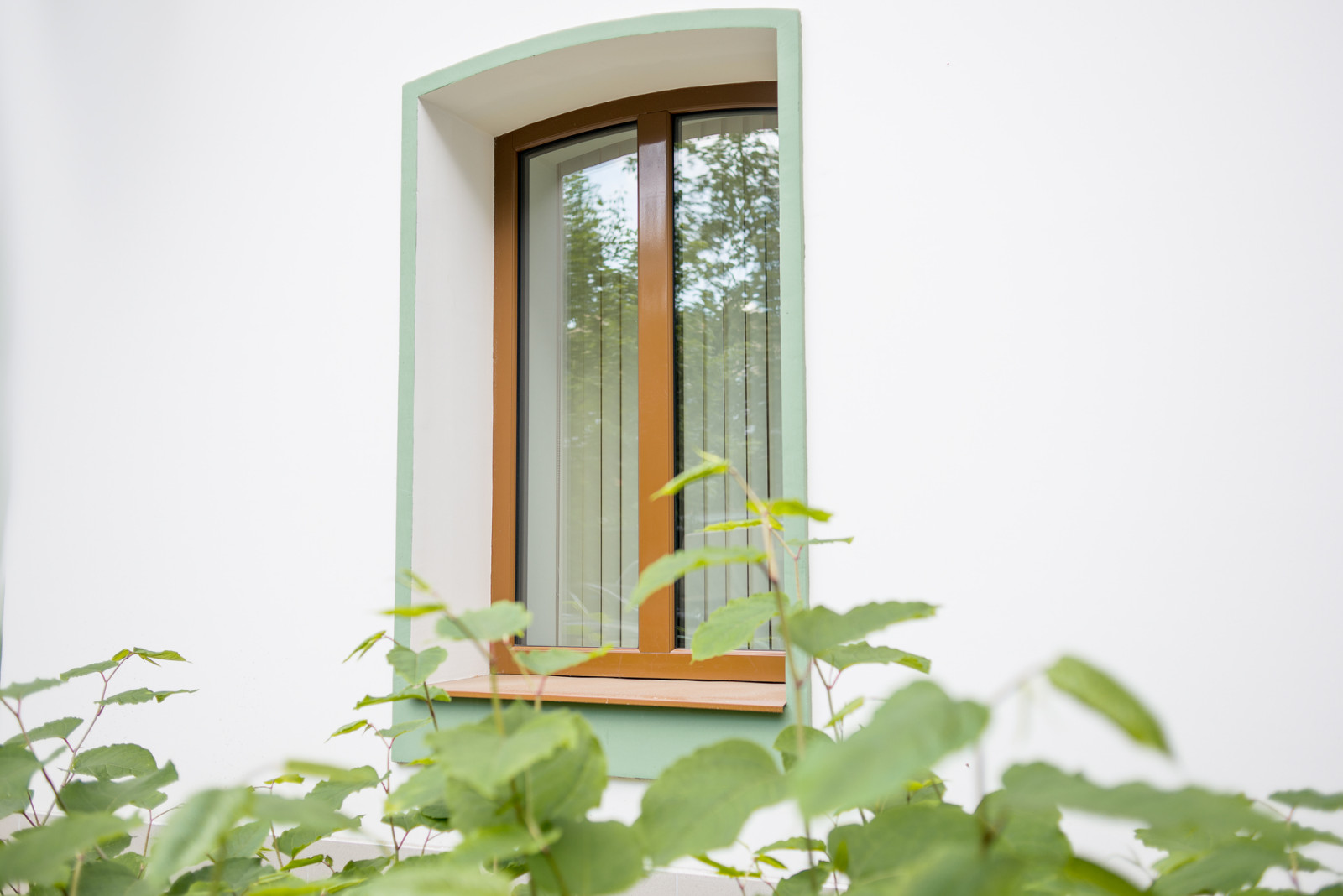 пер. Васнецова д.9 стр.2 (деревянные и дерево-алюминиевые окна и двери)