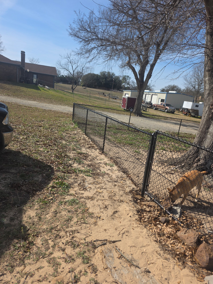 Brad, Kesta, and Temi