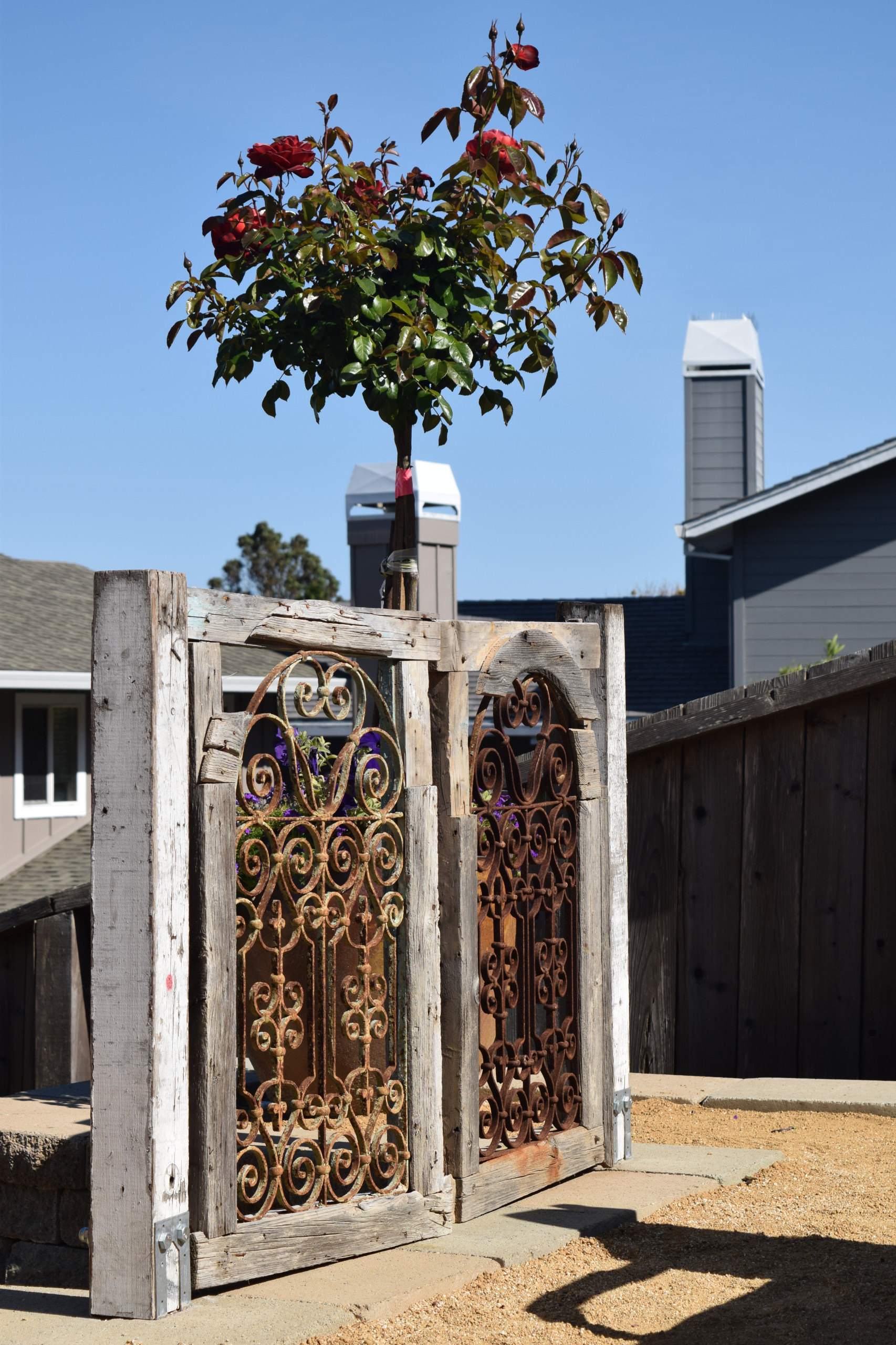 Mediterranean Backyard Transformation - Tiburon, CA