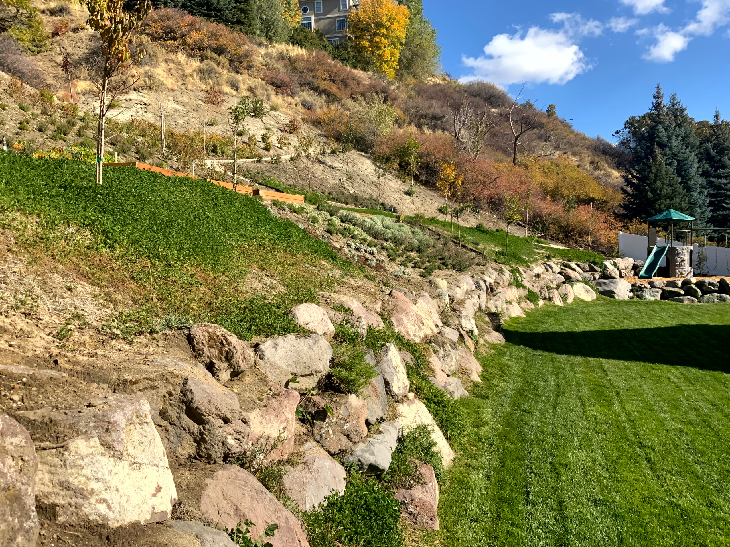 Mountain Meadow Garden