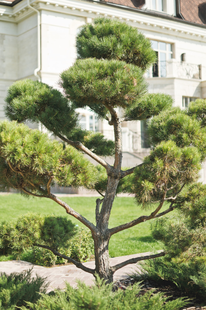 Современный сад на Успенском шоссе