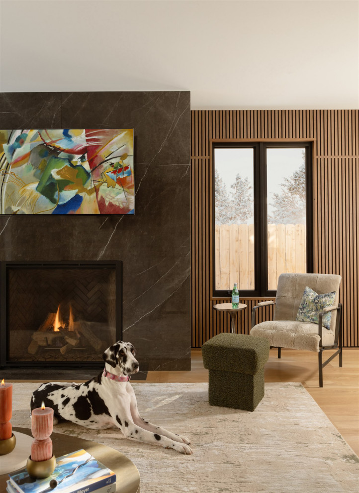 Contemporary Living Room Design with Black Marble Fireplace ...