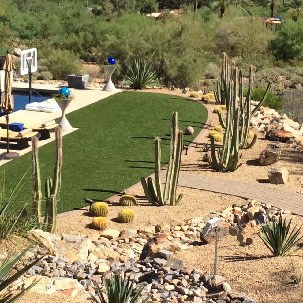 This is an example of a backyard full sun xeriscape for spring in Phoenix.