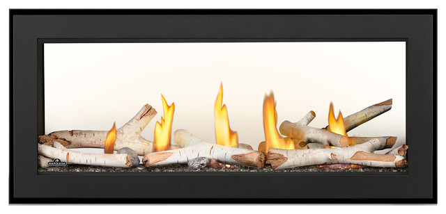 Napoleon L38n2 Acies 38 See Thru Direct Vent Gas Fireplaces