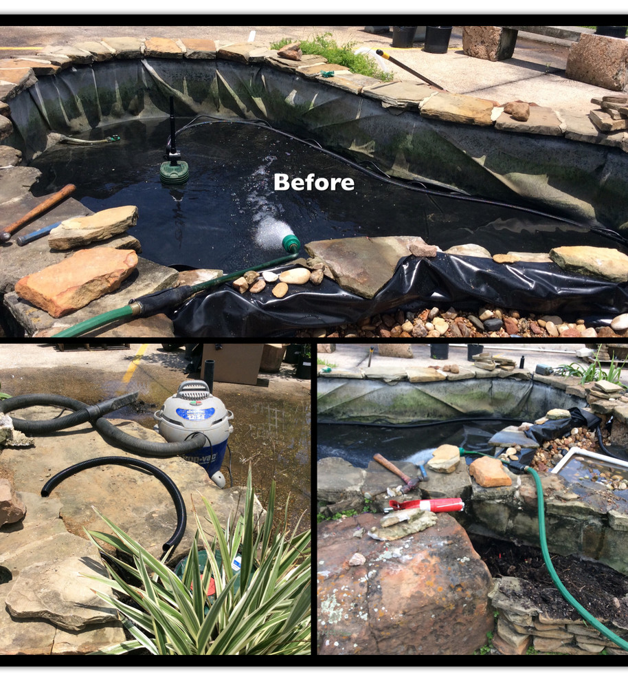 Texas Best Nursery Revitalization