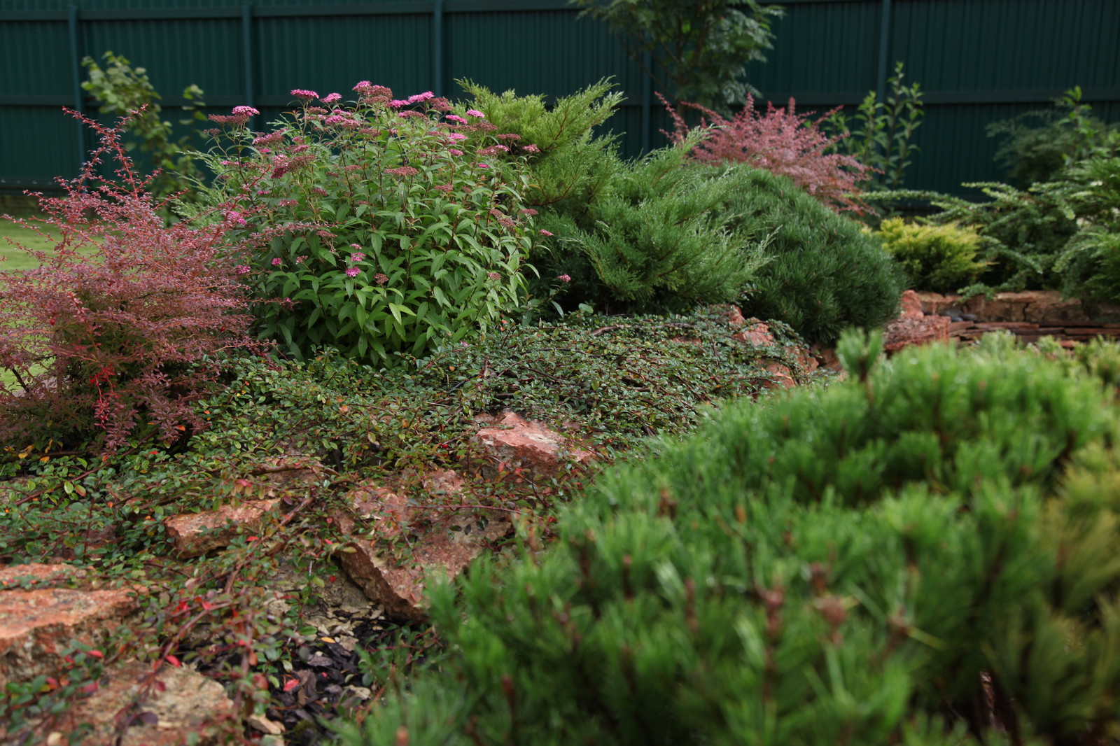 Озеленение альпинария