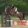 kirstin_krinsky
