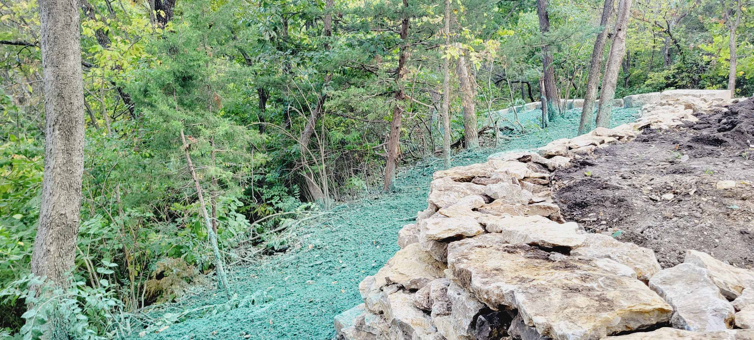 Woodland Restoration