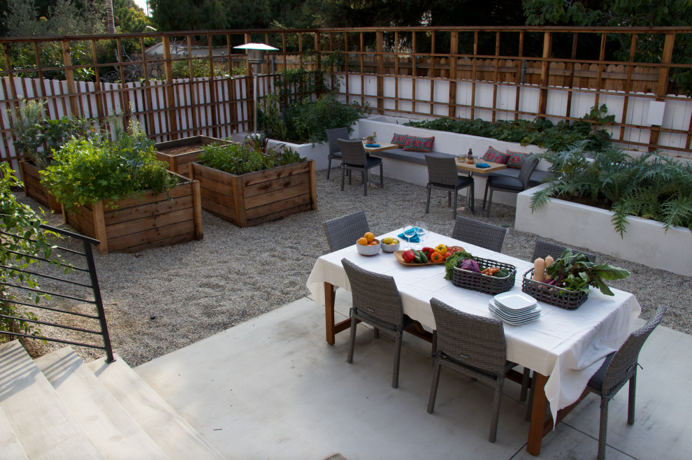 ロサンゼルスにある高級な広いモダンスタイルのおしゃれな裏庭のテラス (家庭菜園、砂利舗装) の写真