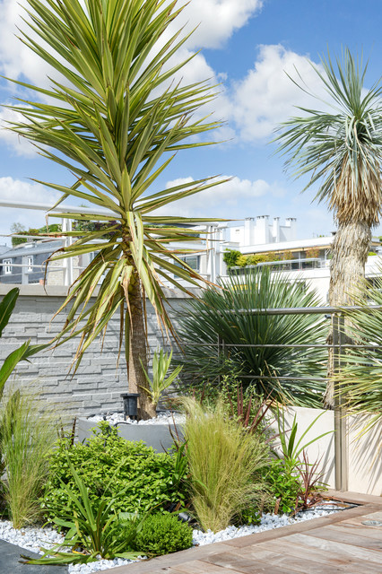 Massif modern-patio