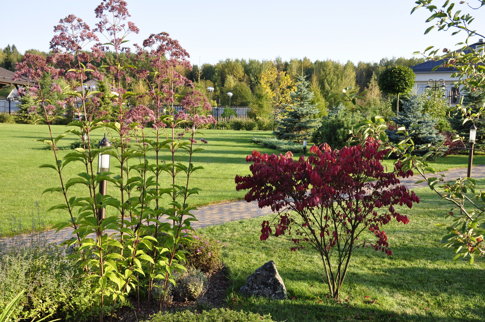кп "Папушево" - Профессиональный уход за садом - 100% качество!