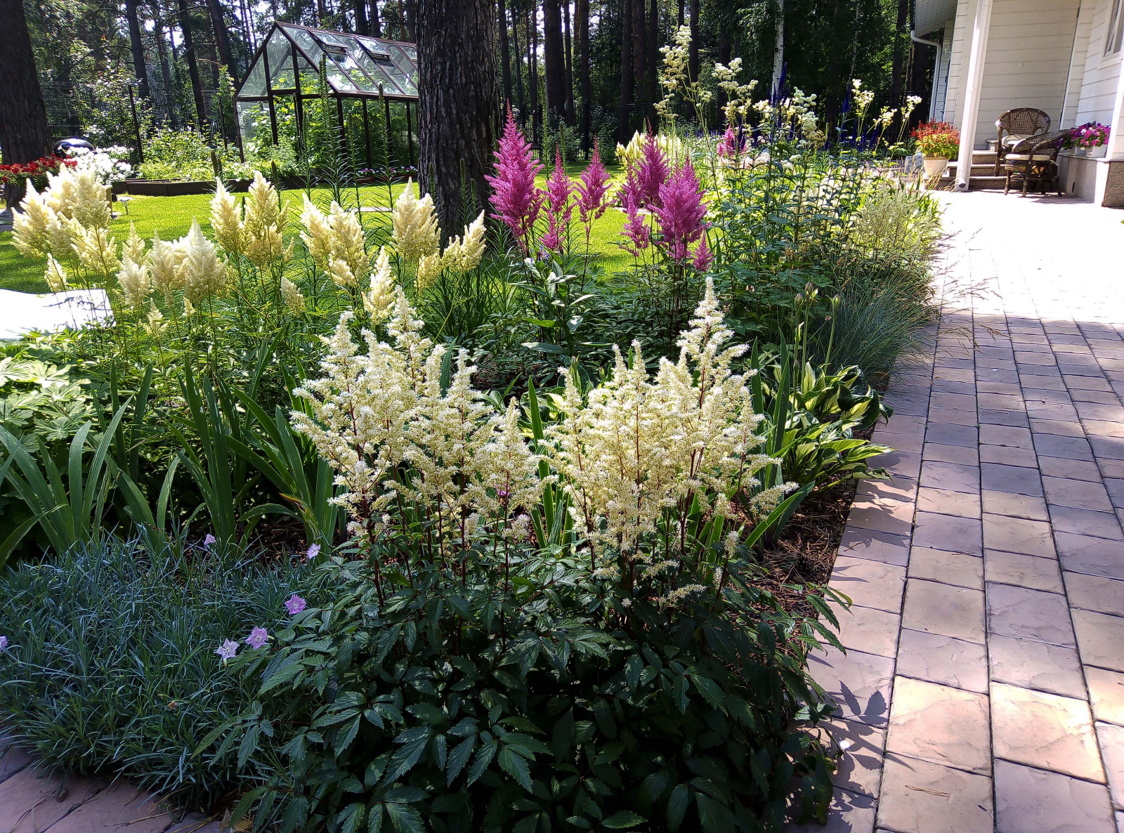 Цветники под пологом леса