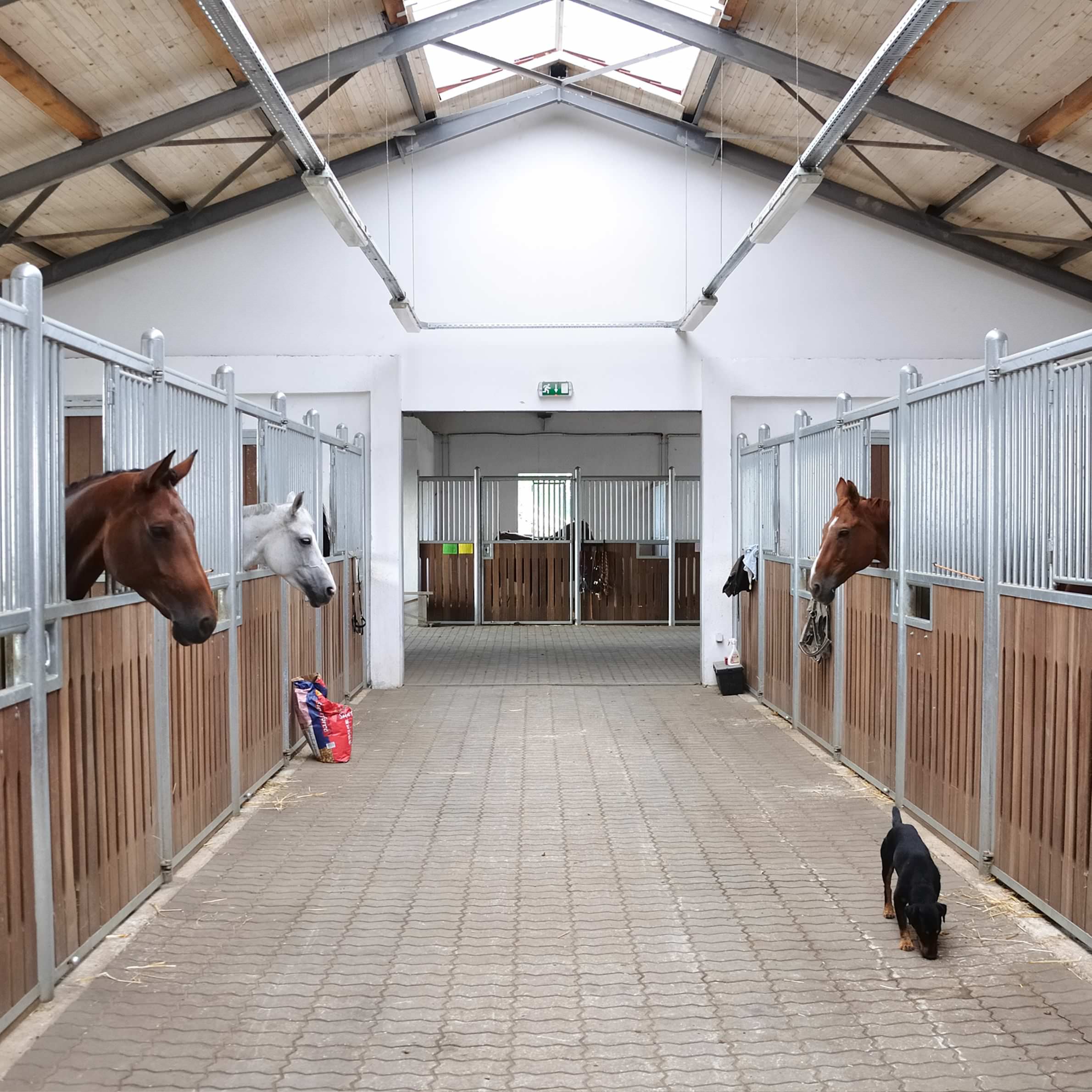 equestrian buildings